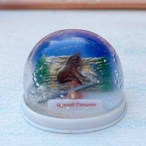 Vintage Grand Canyon Arizona Plastic Snow Globe Travel Souvenir National Park